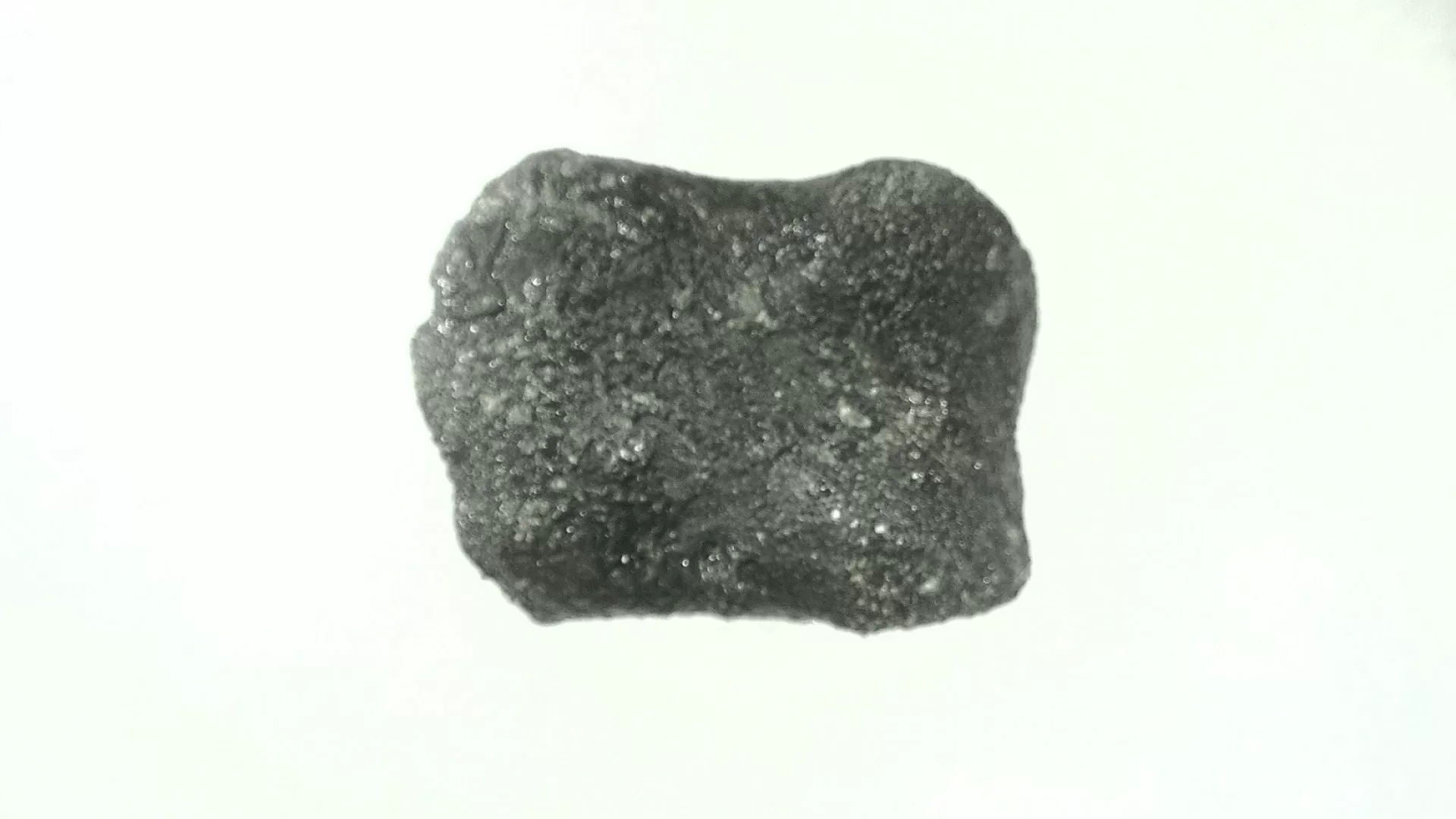 Wyoming Jurassic Dryosaurus Dinosaur Bone 10c | Fossils for Sale Genuine Jurassic Age Dryosaurus Dinosaur Bone Fossils For Sale from Wyoming #10c