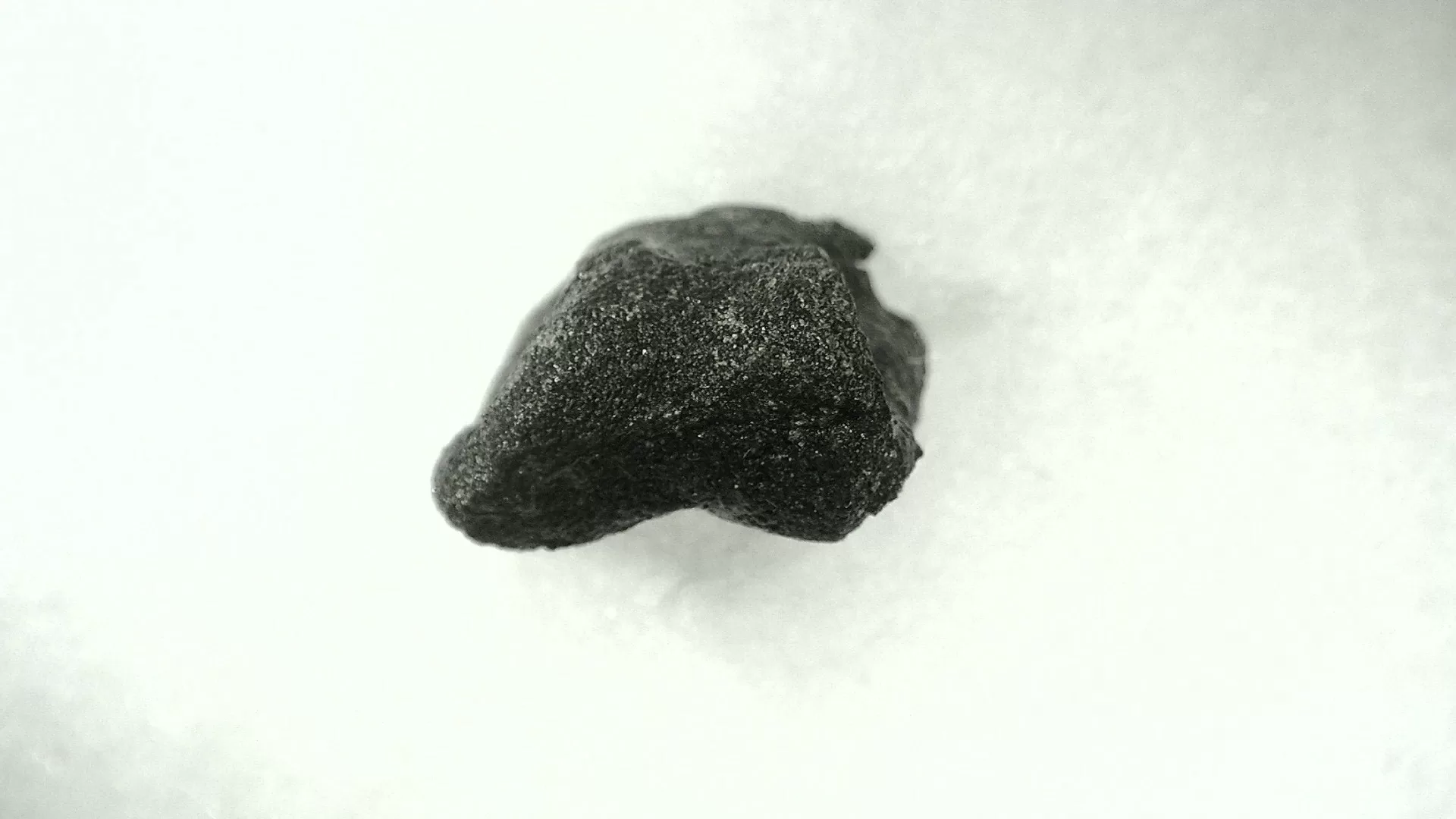 Wyoming Jurassic Dryosaurus Dinosaur Bone 10d | Fossils for Sale Genuine Jurassic Age Dryosaurus Dinosaur Bone Fossils For Sale from Wyoming #10d