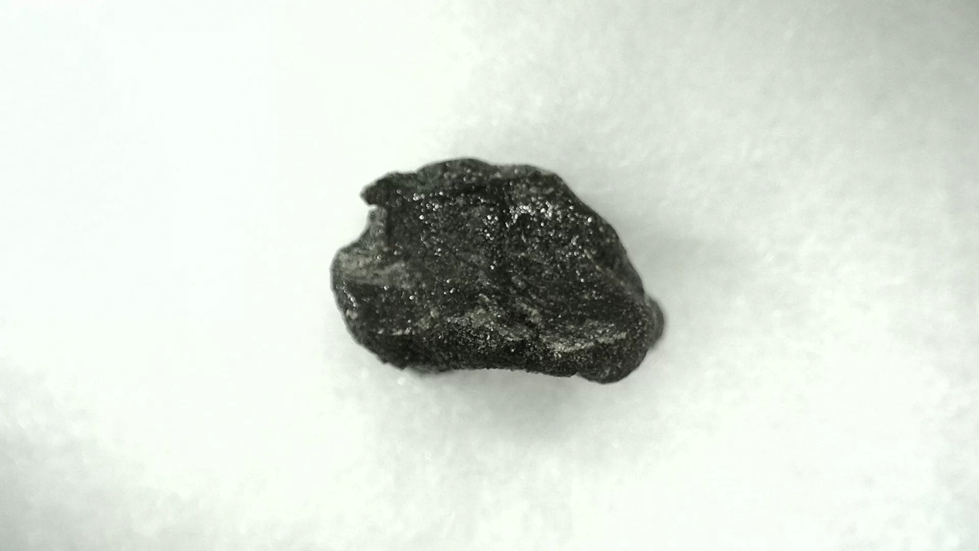 Wyoming Jurassic Dryosaurus Dinosaur Bone 10e | Fossils for Sale Genuine Jurassic Age Dryosaurus Dinosaur Bone Fossils For Sale from Wyoming #10e