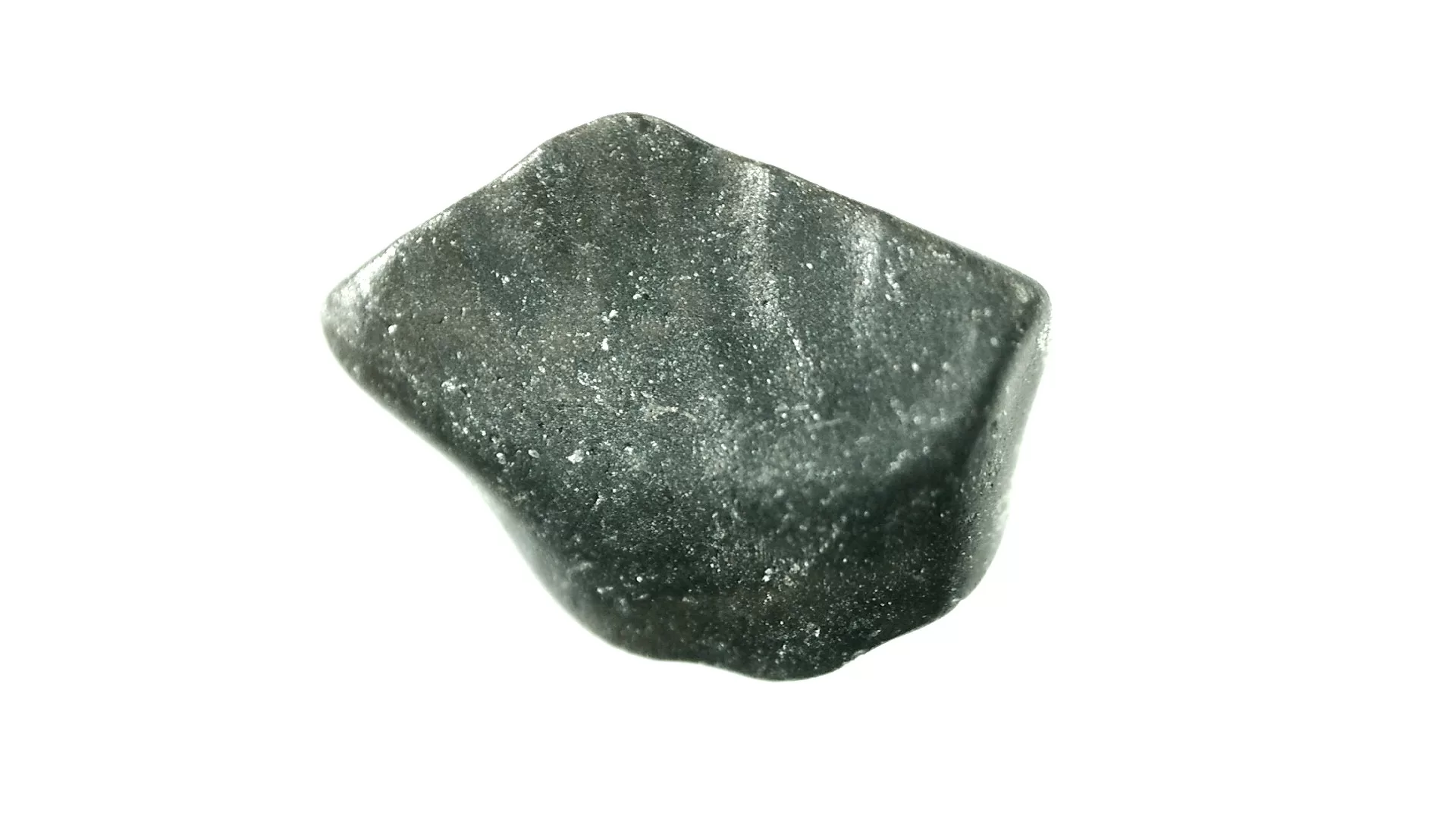 pachycephalosaurus dinosaur tooth 30 | Fossils for Sale Genuine Cretaceous Age Pachycephalosaurus Dinosaur Tooth Fossils For Sale From South Dakota #30