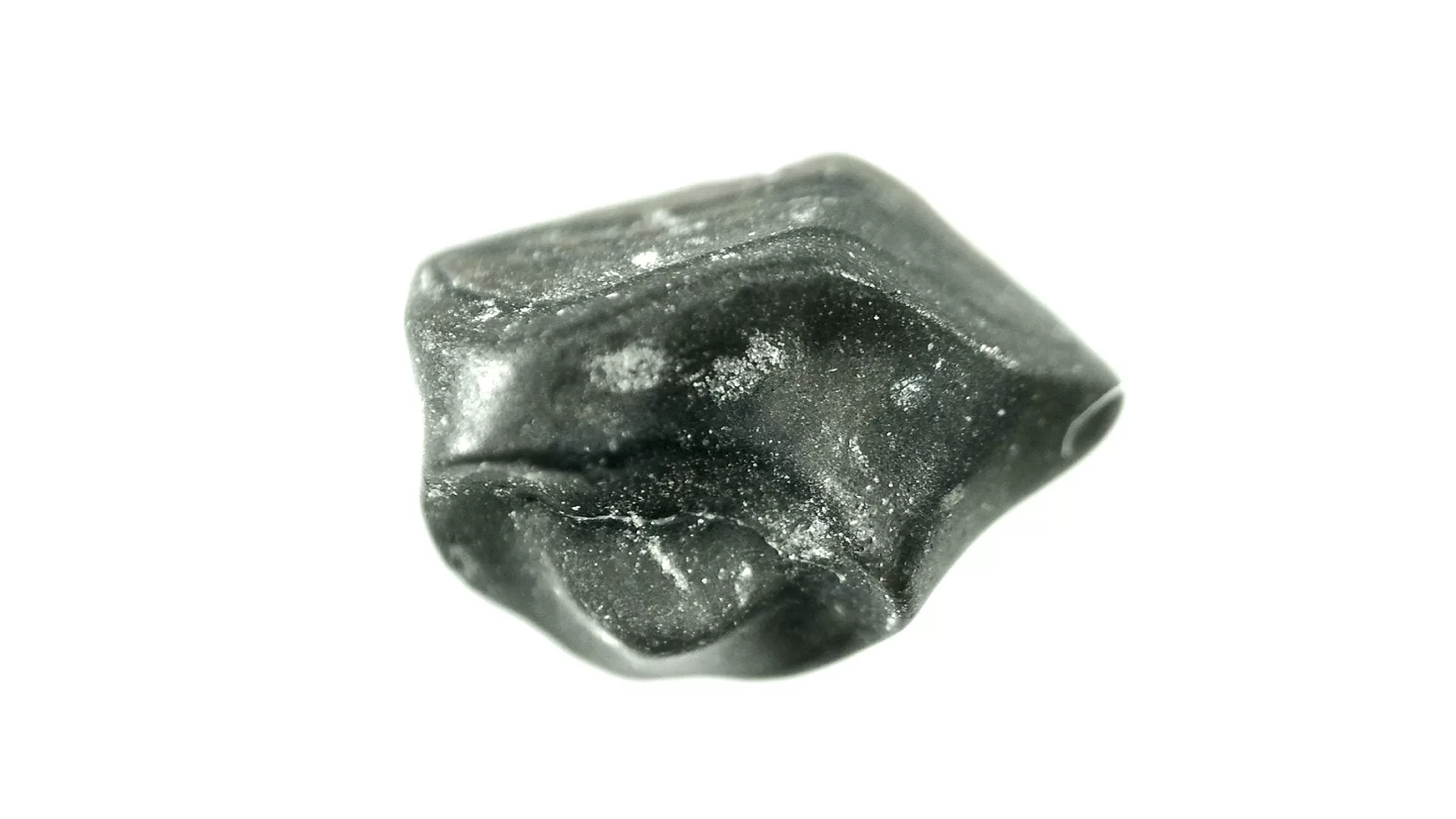 pachycephalosaurus dinosaur tooth 30a | Fossils for Sale Genuine Cretaceous Age Pachycephalosaurus Dinosaur Tooth Fossils For Sale From South Dakota #30a