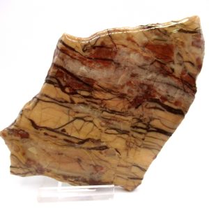 Genuine Precambrian Kona Dolomite Stromatolite Fossils for Sale from Michigan #5