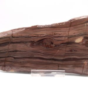 Genuine Precambrian Kona Dolomite Stromatolite Fossils for Sale from Michigan #6