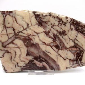 Genuine Precambrian Kona Dolomite Stromatolite Fossils for Sale from Michigan #7