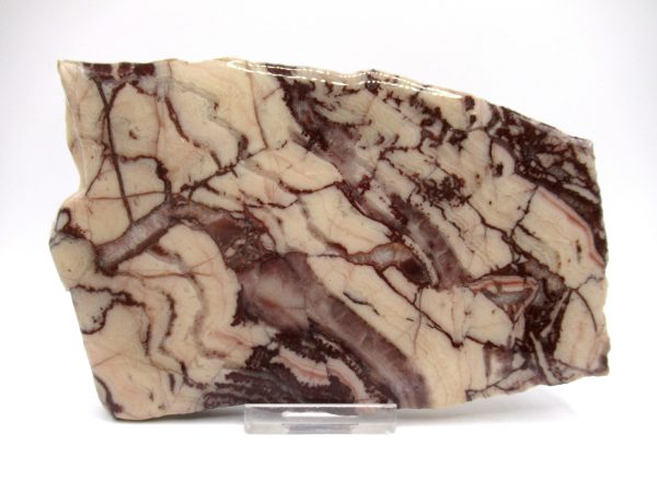 Genuine Precambrian Kona Dolomite Stromatolite Fossils for Sale from Michigan #7