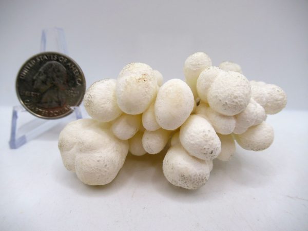 Genuine Calcite Specimen for Sale from North Africa #14a