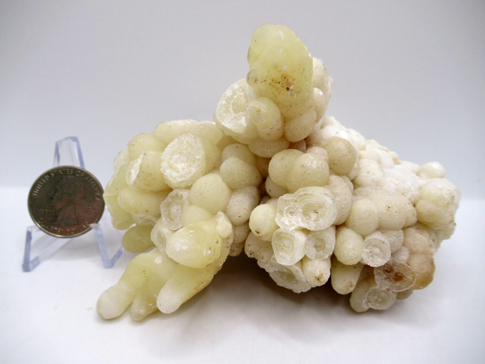North Africa Calcite Specimen17 | Fossils for Sale Genuine Calcite Specimen for Sale from North Africa #17