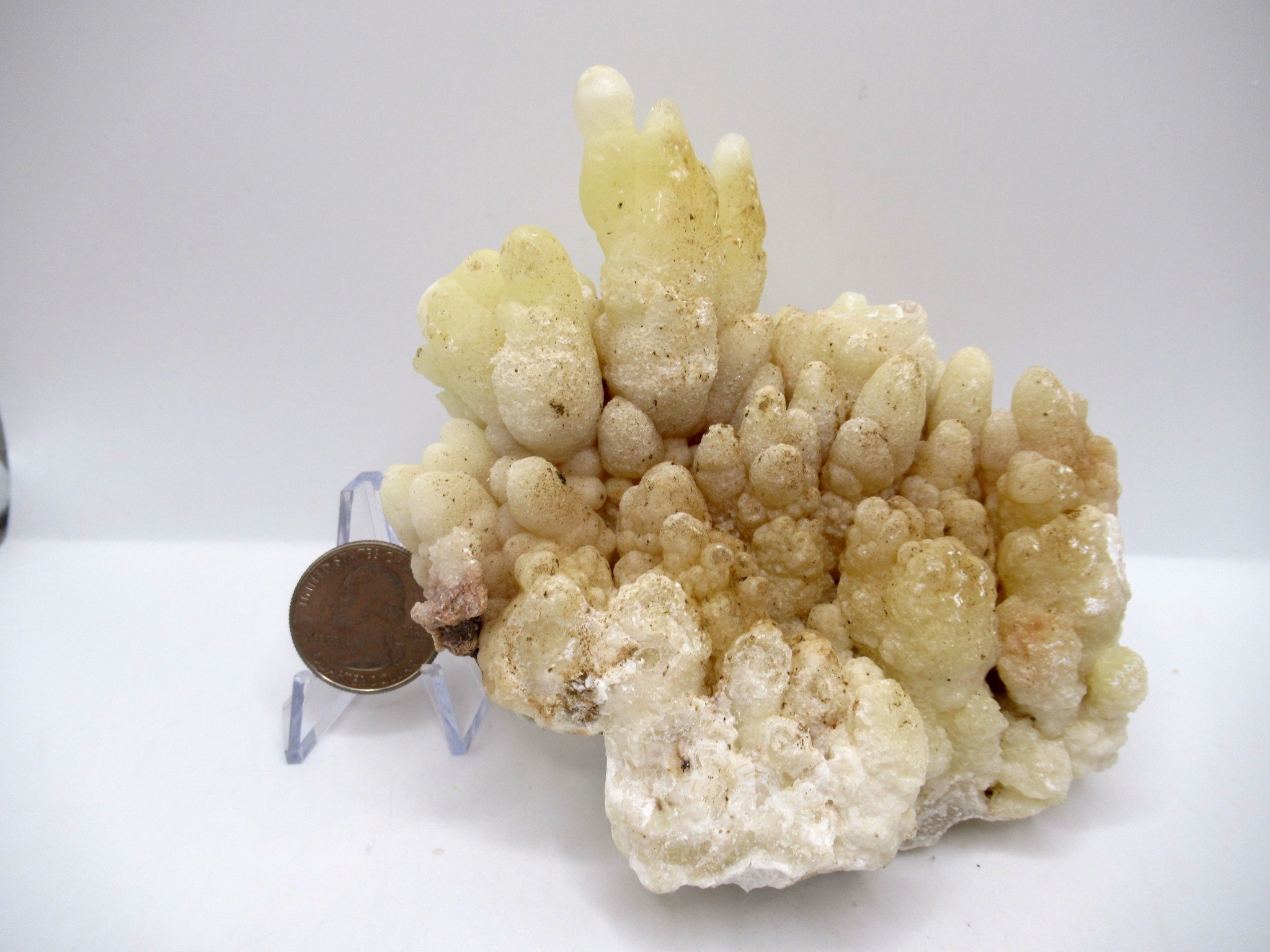 North Africa Calcite Specimen17a | Fossils for Sale Genuine Calcite Specimen for Sale from North Africa #17a