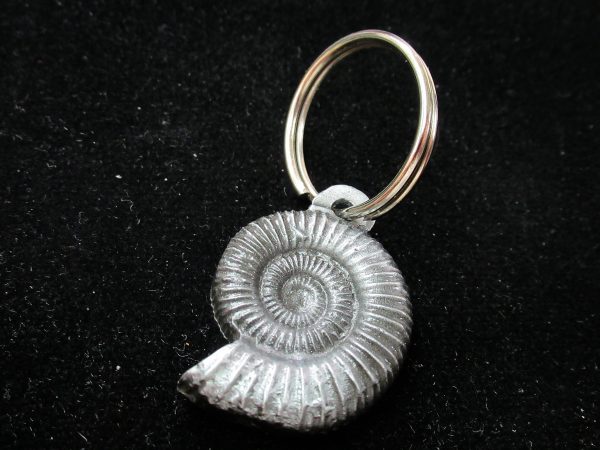 Ammonite Metallic Keychain For Sale