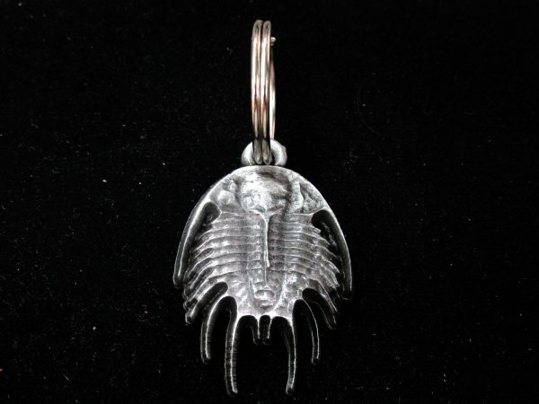 Trilobite Metallic Keychain For Sale