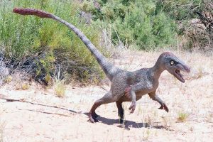 African "Raptor" Dinosaur