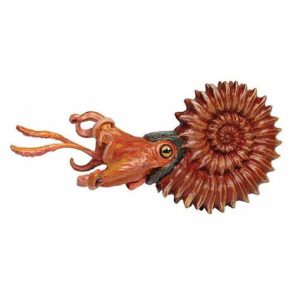 Perisphinctes