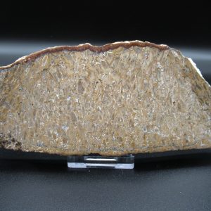 Genuine Cretaceous Age Dinosaur Bone Slab For Sale From Morocco #29