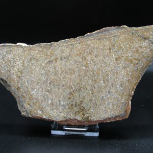 Genuine Cretaceous Age Dinosaur Bone Slab For Sale From Morocco #38