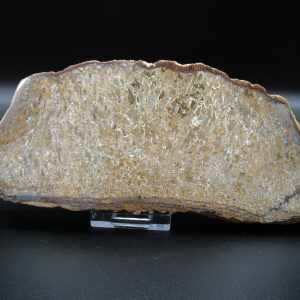 Genuine Cretaceous Age Dinosaur Bone Slab For Sale From Morocco #42