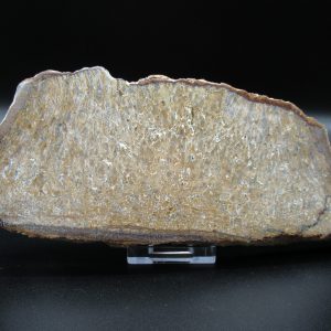 Genuine Cretaceous Age Dinosaur Bone Slab For Sale From Morocco #43