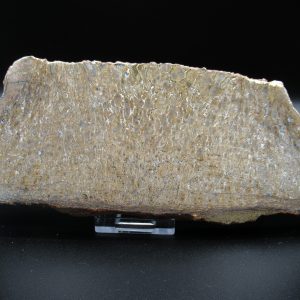 Genuine Cretaceous Age Dinosaur Bone Slab For Sale From Morocco #47