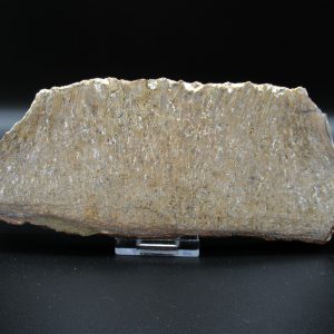 Genuine Cretaceous Age Dinosaur Bone Slab For Sale From Morocco #49