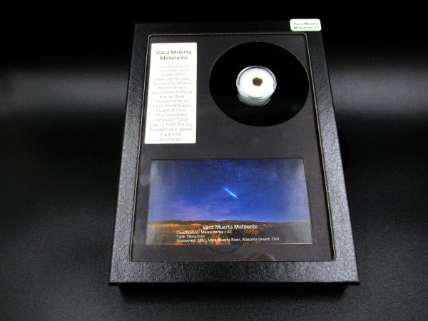 Genuine Vaca Mueta Meteorite Frame For Sale from South America #12