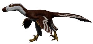 Acheroraptor Dinosaur