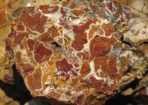 Polychrome Jasper