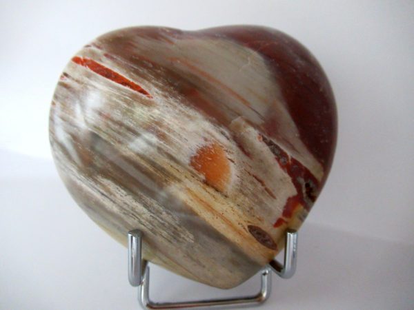 General Petrified Wood Polished Mineral Heart For Sale #1a