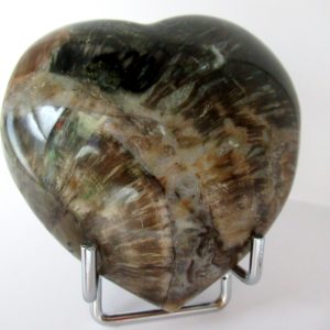 General Petrified Wood Polished Mineral Heart For Sale #2