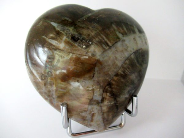 General Petrified Wood Polished Mineral Heart For Sale #2a
