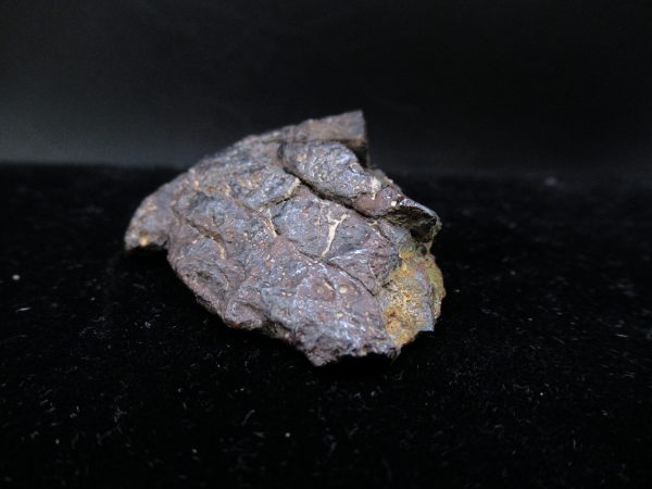 Genuine Campo Del Cielo Meteorite For Sale From Argentina #2a