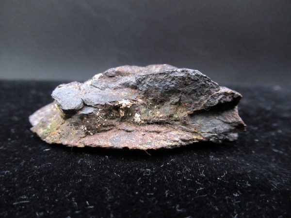 Genuine Campo Del Cielo Meteorite For Sale From Argentina #2b