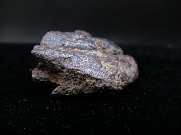 Genuine Campo Del Cielo Meteorite For Sale From Argentina #2c