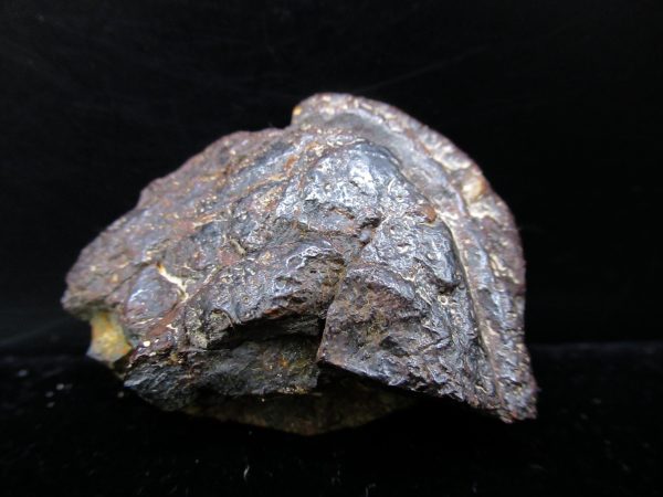 Genuine Campo Del Cielo Meteorite For Sale From Argentina #2d