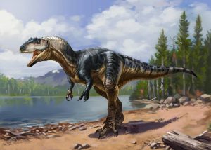 Theropod Dinosaur