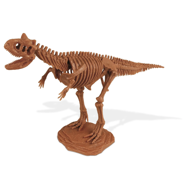 Carnotaurus Dinosaur Excavation Kit For Sale #4