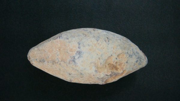 Genuine Roman Slingshot Bullet Riker For Sale #16a