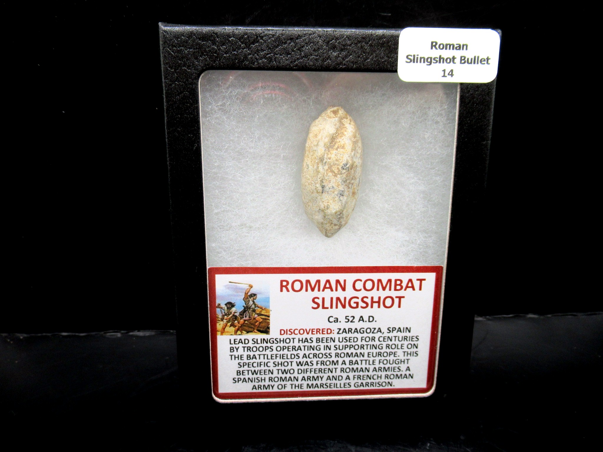 Genuine Roman Slingshot Bullet Riker 14 | Fossils for Sale Genuine Roman Slingshot Bullet Riker For Sale #14