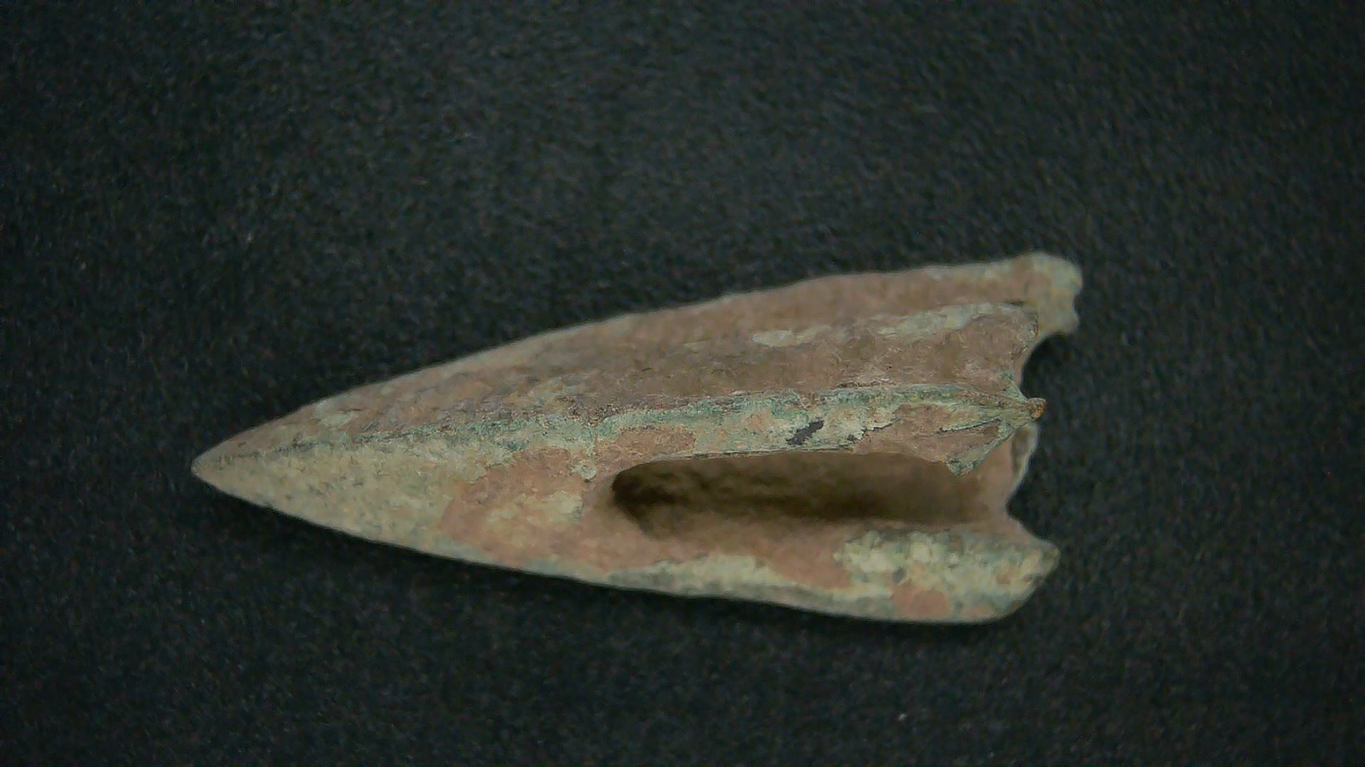 Genuing Roman Arrowhead 25 | Fossils for Sale Genuine Roman Arrowhead In Riker For Sale #25