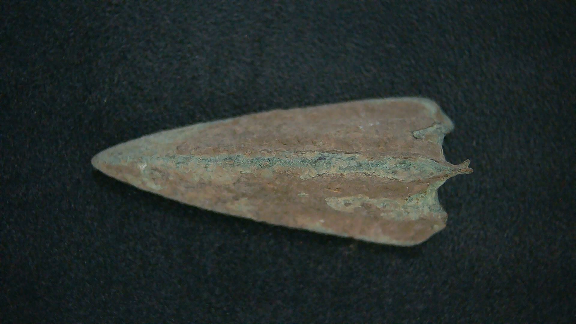 Genuing Roman Arrowhead 25a | Fossils for Sale Genuine Roman Arrowhead In Riker For Sale #25a