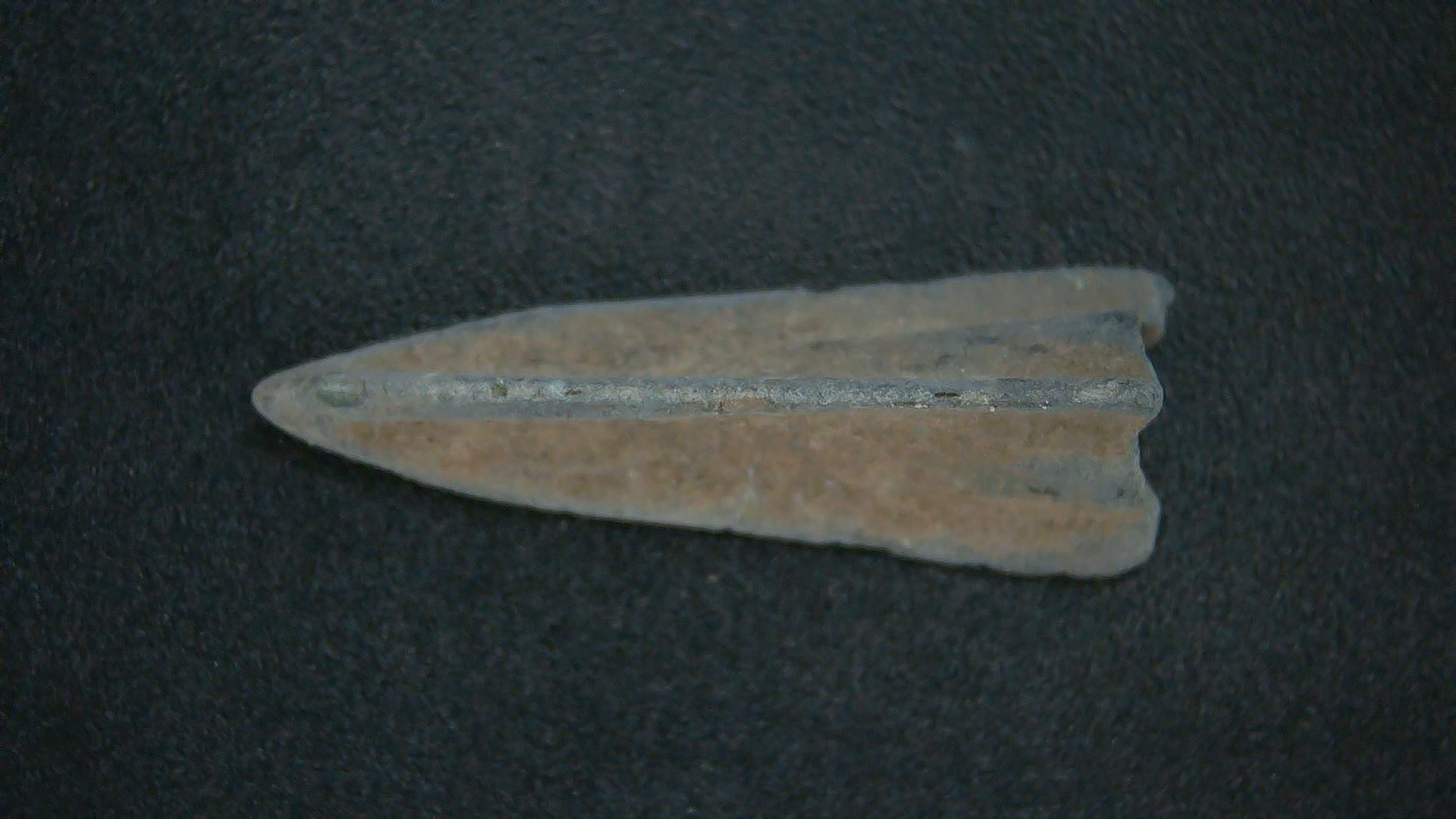 Genuing Roman Arrowhead 32b | Fossils for Sale Genuine Roman Arrowhead In Riker For Sale #32b