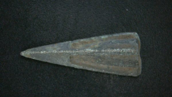 Genuine Roman Arrowhead In Riker For Sale #35