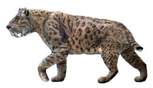 Smilodon Fatalis