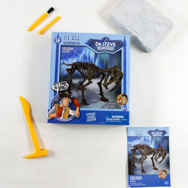 Smilodon Excavation Kit For Sale #2