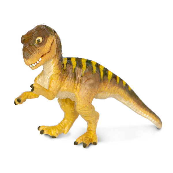 Tyrannosaurus Rex Dino Dana Baby Egg For Sale 2
