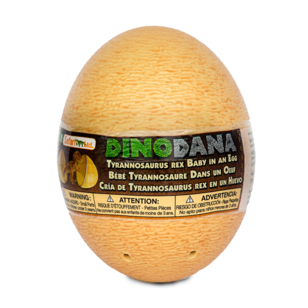 Tyrannosaurus Rex Dino Dana Baby Egg For Sale 3