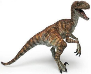 Velociraptor