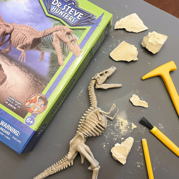 Velociraptor Dinosaur Excavation Kit For Sale #3