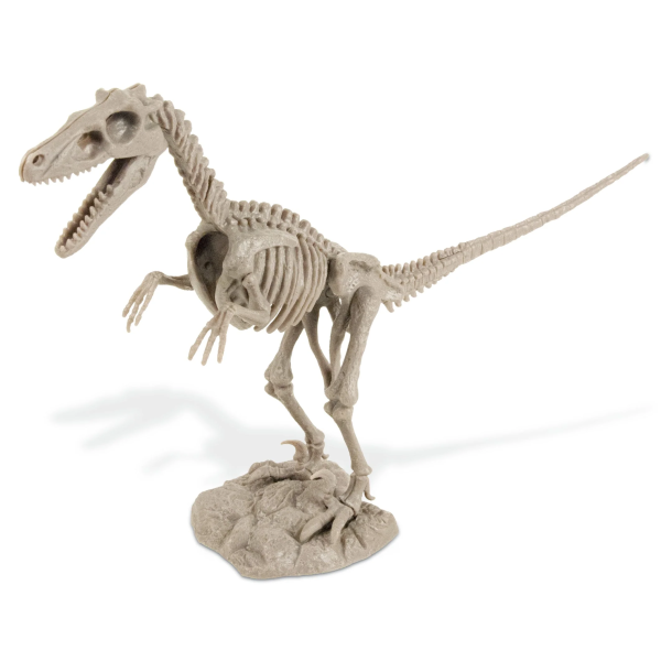 Velociraptor Dinosaur Excavation Kit For Sale #4