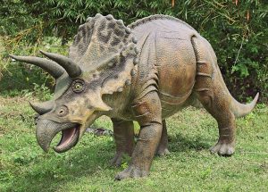 Triceratops