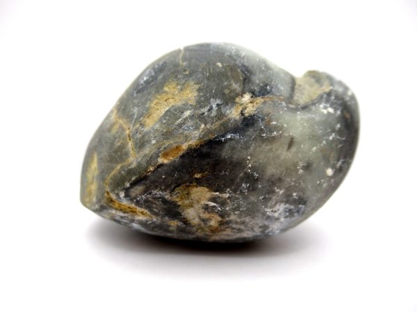 Genuine Devonian Age Strinocephalus Brachiopod From Burma For Sale #13a
