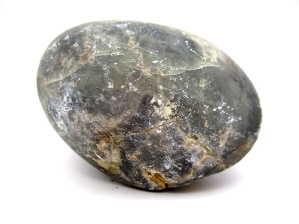 Genuine Devonian Age Strinocephalus Brachiopod From Burma For Sale #13c